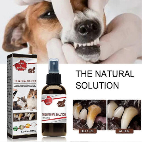 Pet Teeth Cleaning Spray 1