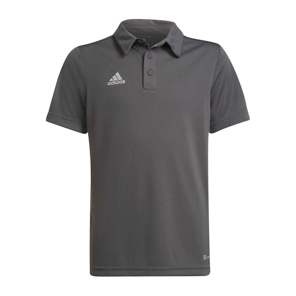 Adidas (13-14 Years, ) Childrens/Kids Entrada 22 Polo Shirt Grey