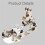 Sewing Machine Feet Adjustable Non Slip Presser Foot Guide Zipper Support for Overlocker Sewing Projects 4