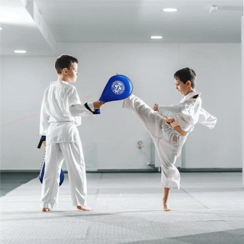 2 Pack Taekwondo Kick Pads, Striking Pad Target for TKD, Karate, Martial Arts, Kickboxing Training, 1