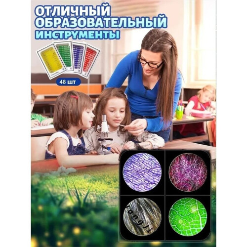 Plastic Microscope Slides Animals Insects Plants Flowers Multicolor Microscope Sample 2