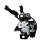 Trava Do Capô 74120-SEN-H01 para  Fit Modelos 2009-2010 4