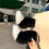 Fluffy Remote Control Electric Bicycle Tail Realistic Versatile Car Wagging Moving Tail Self-Adhesive Rechargeable 4