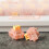 Peach Silent Magnetic  2pin Linear Pre-Lubed for  for  Hall Effect for  Keyboard Gaming 4