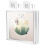 CD Jewel Case Holder Wall Mount Protector for Single & Double Disc CD Box Display Frame Shelf, Acrylic CD Display Case 9