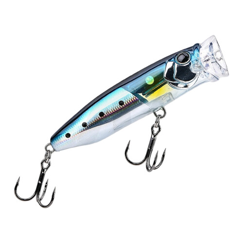 Leurres professionnels de pêche à corps dur avec un-2 L.