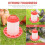 Balde Automático de 6 Kg para Alimentação de Galos, Galinhas, Aves, Codornas e Pombos. 2