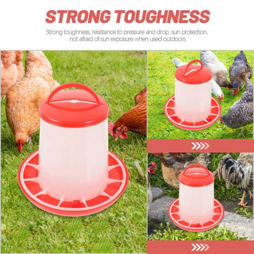 Balde Automático de 6 Kg para Alimentação de Galos, Galinhas, Aves, Codornas e Pombos. 1