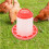 Balde Automático de 6 Kg para Alimentação de Galos, Galinhas, Aves, Codornas e Pombos. 8