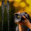 Double Shoulder Camera Strap Adjustable Leather Camera Shoulder Belt Portable Shoulder Harness Outdoor Photography Tools 4