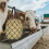 Conjunto de 2 Unidades de Rede de Feno de Poliéster para Alimentação Lenta, com  Capacidade para Pendurar, Ideal para Cavalos (40 Polegadas). 5
