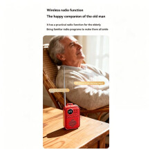 FM Radio Wireless Speaker Portable Player HD Display Digital Radios Recevier Support BT U Disk TF Card B