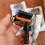 5 Pin Car Engine Harness Connector with Wiper Motor Socket and Wires for Trucks 8