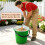 Setacci da Terra: 2 Pezzi, 3 mm, 6 mm, Setaccio Rotondo da Giardino, Setaccio per Setacciare Terra, Compost e Semi 7