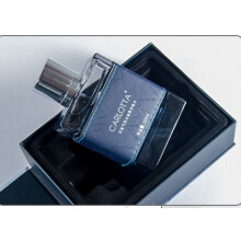 (Bingfeng Men 100ML) French Bold Men Cologne 100ml, Fresh Long Lasting Light Fragrance for Daily Casual Wear