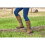 Dublin (3 UK, Dark Brown) Dublin Womens/Ladies Leather Long Riding Boots 2