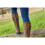 Dublin (3 UK, Dark Brown) Dublin Womens/Ladies Leather Long Riding Boots 3