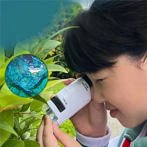 60-120X Pocket Microscope with 12 Specimens with LED Light Handheld Microscope Kit Outdoor Educational Science White