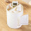 Multifunctional Desktop Tissue Box, Compatible Remote Control Organizer (White) :White Surprise Gift 1