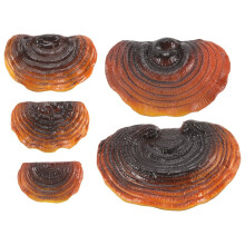Set of 5 Mushroom Shelf Wall Decor Small Wall Shelf for Bedroom Resin Mushroom Decor Floating Shelves Corner Wall Decor