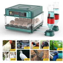 Automatischer Eierbrutapparat, vollautomatisch, intelligenter Brutapparat für Küken, Enten und Gänse, klein