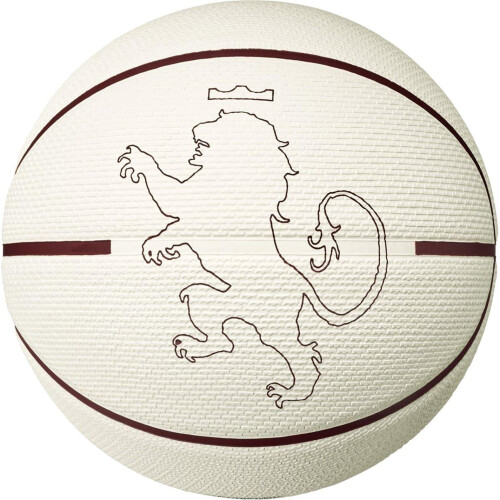 Nike (7, Sail/Red/Black) Nike LeBron Basketball 1