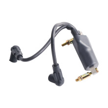 Pièce de rechange de bobine d'allumage en plastique de