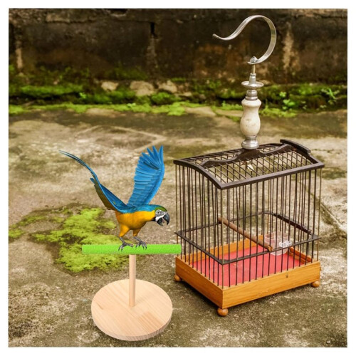 Bird Training Stand for Parrots Interactive Perch Stand Floor and Birdcage Use for Training and Playtime Activities 2