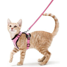 Arnés rosa ajustable para gatos y perros, chaleco reflectante transpirable pequeño para paseos diarios cómodos.