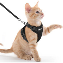 Arnés antiescape para gatos con correa, negro, talla XXS. Arnés tipo chaleco ajustable para gatitos, perros pequeños, conejos y cachorros.