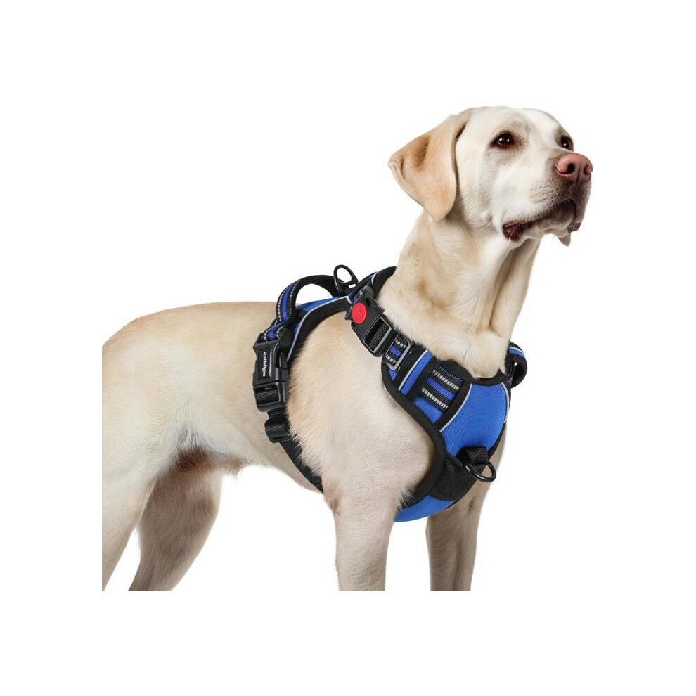 No Pull Dog Harness With 3 Buckles, Reflective Adjustable Easy On Vest, Blue, Large Size 4204239250540