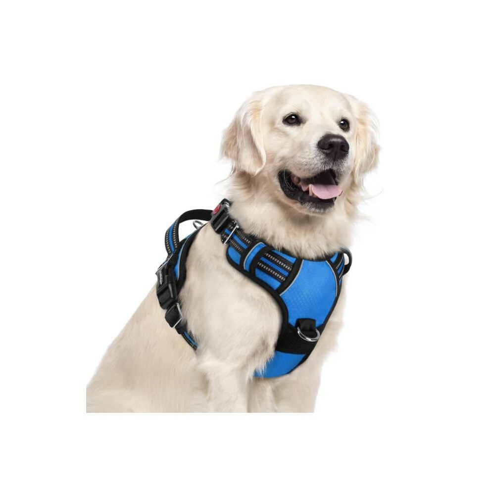 Rabbit Dog Harness No-Pull With 3 Buckles Easy To Put On Reflective Adjustable Harness For Dogs Blue Xl 7291005342810