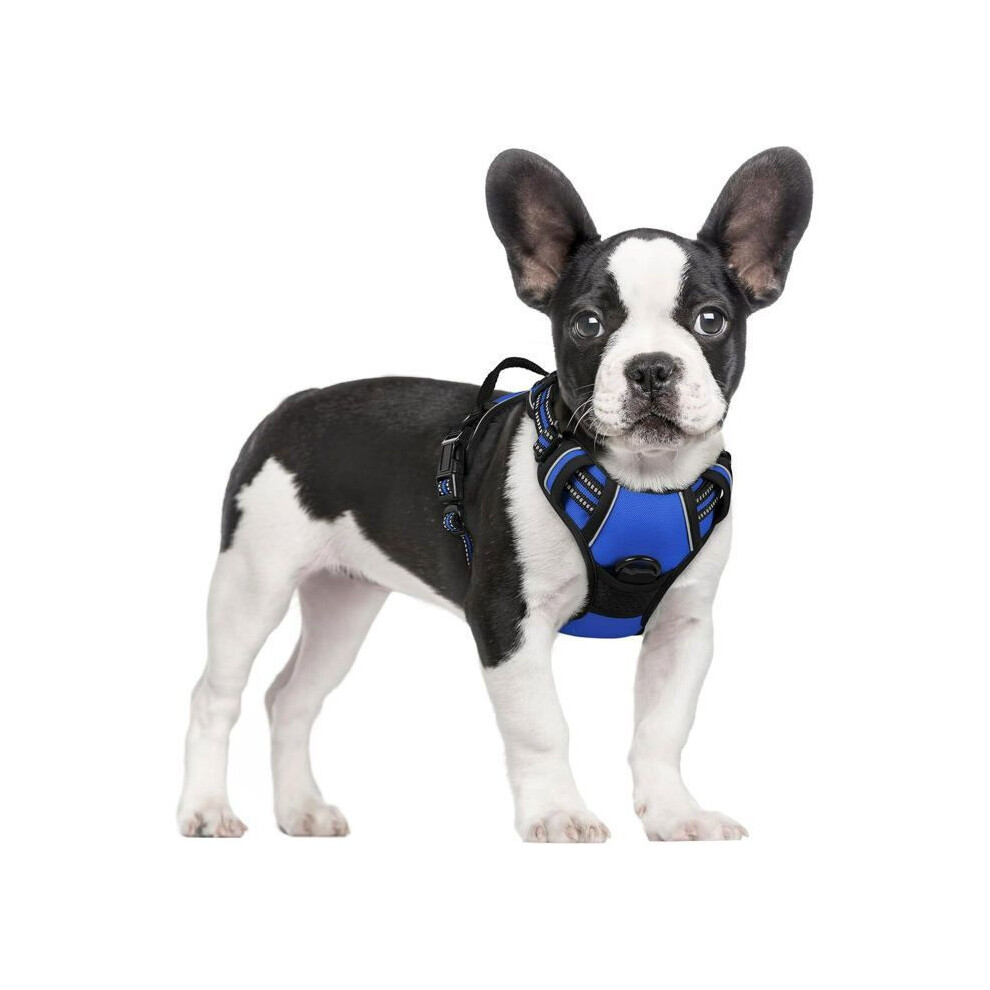 No Pull Dog Harness Blue Xs For Small Dogs With Handle Adjustable Reflective Vest Easy To Put On 7291005342896