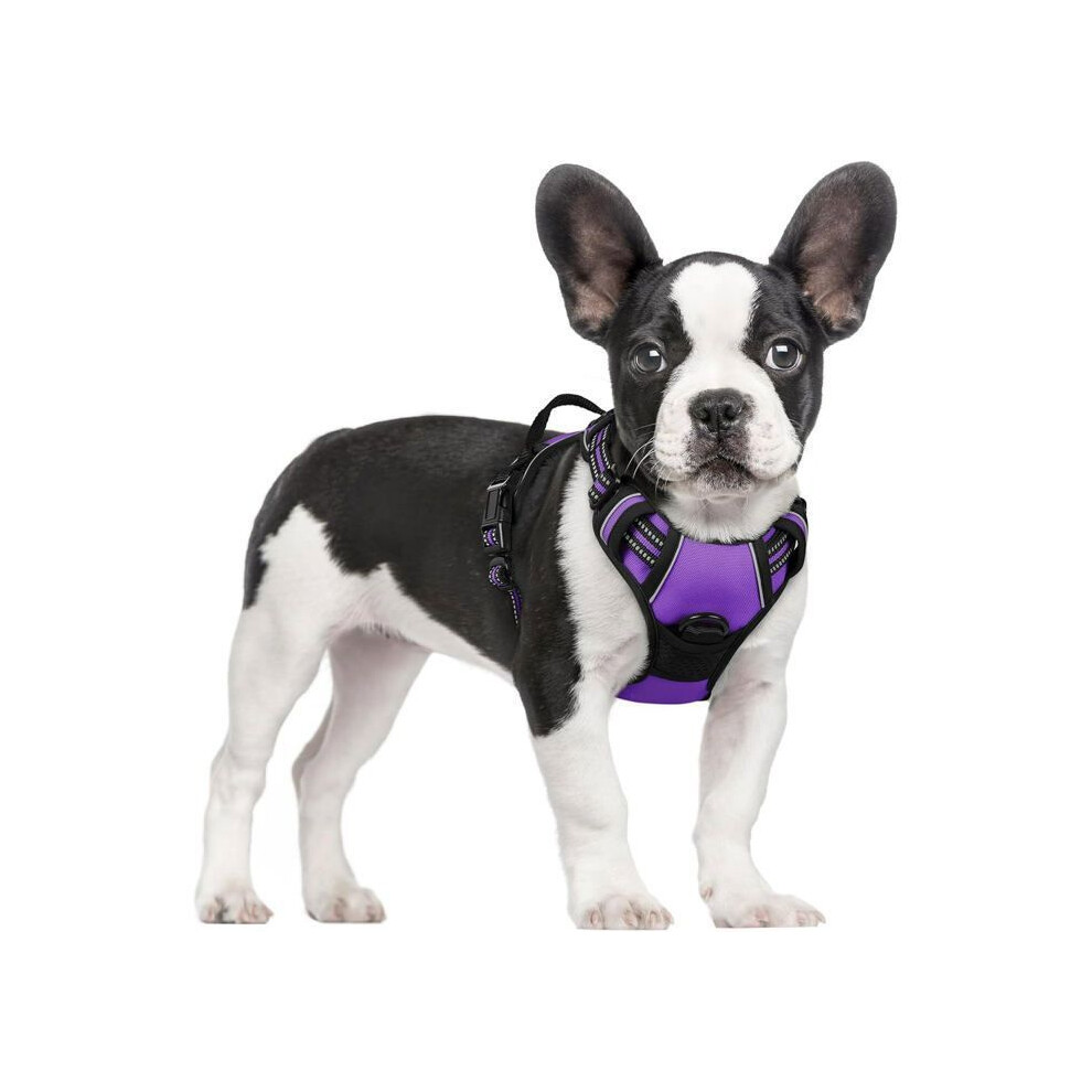 Purple Anti Pull Dog Harness Xs For Small Dogs With Handle, Adjustable Reflective Vest Breathable Comfort 3109943349256