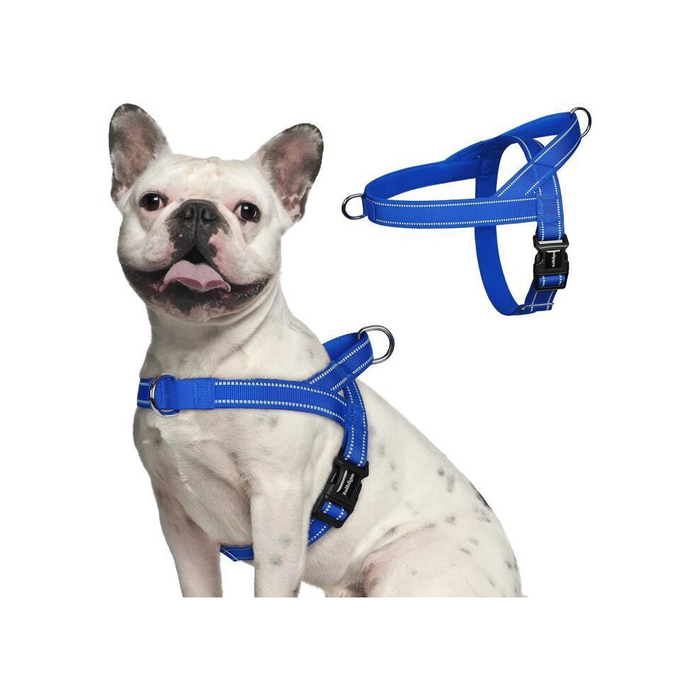 No Pull Dog Harness For Small Dogs Easy To Put On Adjustable Front Clip Blue Padded Vest 6189346259632