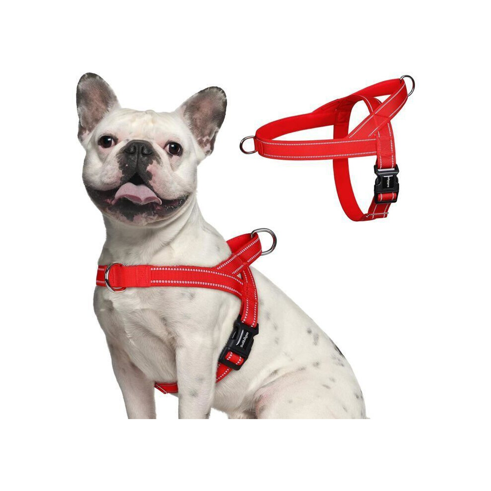Adjustable No Pull Dog Harness Easy To Put On For Small Dogs With Front Clip, Red 6189346259656