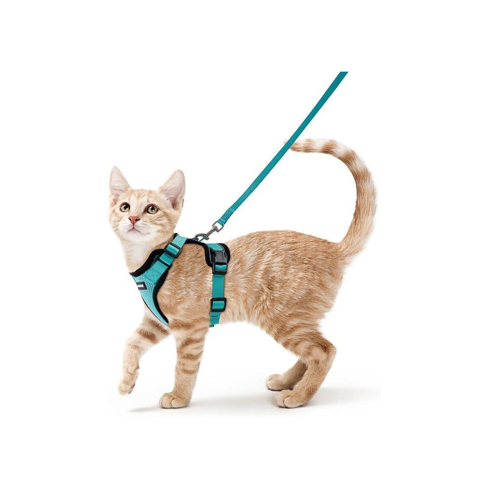 Adjustable Reflective Cat Harness And Leash Set For Small Dogs And Kittens Breathable Green Size S Soft Vest Harness 3229063207899