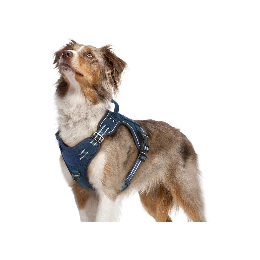 No-Pull Tactical Dog Harness, Adjustable Reflective Training Vest With Handle And Metal Rings, Blue, Medium 4634189259445