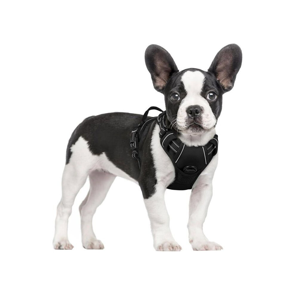 Black Xs No Pull Dog Harness With Handle Adjustable Reflective Vest Easy On For Small Dogs Comfortable Fit 6189346259618
