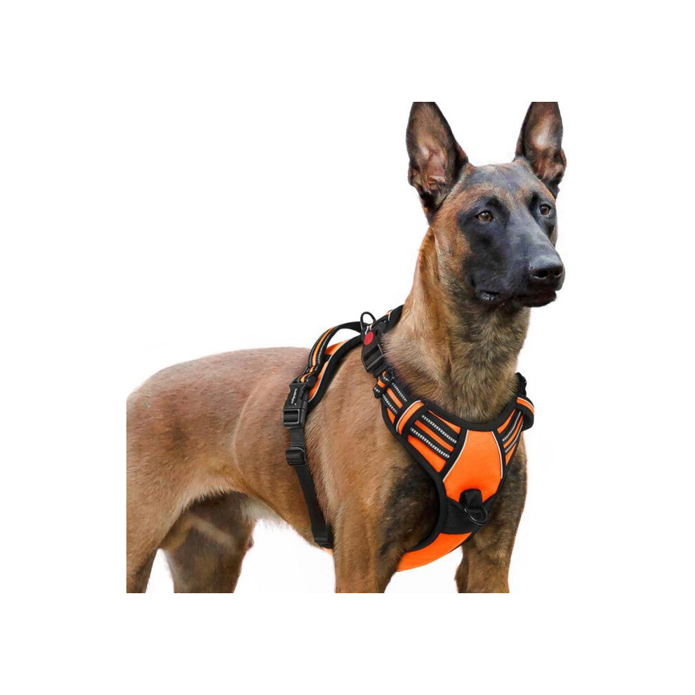 Reflective Adjustable Dog Harness With 3 Buckles, Easy-On No-Pull Harness For Dogs, Orange, Xl 4957826258206