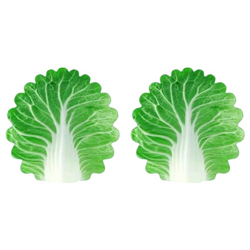 2X Soft Cabbage Blanket Funny Novelty Blanket 120x120cm
