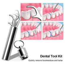 Flossing Metal Toothpicks Set Reusable Toothpicks Portable Toothpick Floss Teeth Cleaner Oral Care Cleaning Tools,B