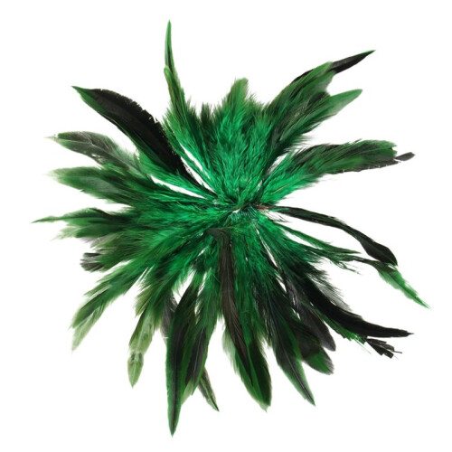 Env. 150pcs Decoration Teints Coq Plume Vert 2