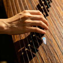 8St Guzheng Picks Duurzaam Comfortabel Multi Kleur Nagelset