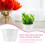 6Sets Moderne Zelfbewaterende Bloempotten Plastic Voor 6