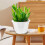 6Sets Moderne Zelfbewaterende Bloempotten Plastic Voor 8