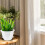 6Sets Moderne Zelfbewaterende Bloempotten Plastic Voor 9