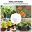 4Pcs White Plastic Wall Hanging Planters Retro Indoor Flowerpot Decor 6