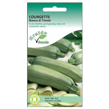 Italian Courgette Zucchini Seeds Bianca di Trieste Ivory Green Heirloom Cucurbita Pepo 20 Seeds Grow Your Own Vegetable Perfect for Greenhouse or