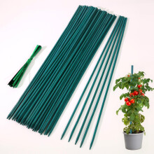 50 Pack Plant Support Sticks 60cm – Bamboo Sticks for Plants with 50 Twist Ties, Green Plant Stakes Garden canes, Durable Plant Sticks for Flowers F